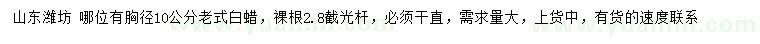 求購胸徑10公分老式白蠟