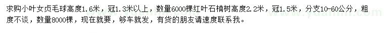 求購高度1.6米小葉女貞毛球、高度2.2米紅葉石楠樹