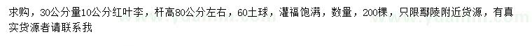 求購(gòu)30公分量10公分紅葉李