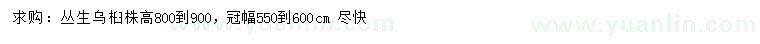 求購株高800-900公分叢生烏桕