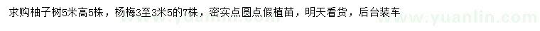 求購(gòu)高5米柚子樹(shù)、3-3.5米楊梅