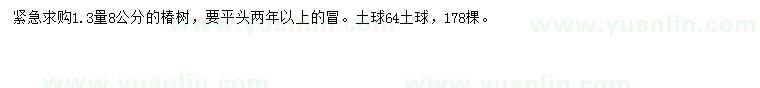 求購1.3量8公分椿樹