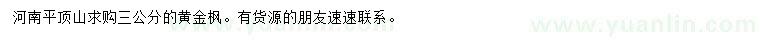 求購3公分黃金楓