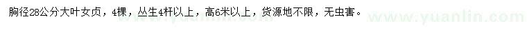 求購(gòu)胸徑28公分大葉女貞