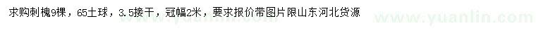 求購(gòu)冠幅2米刺槐
