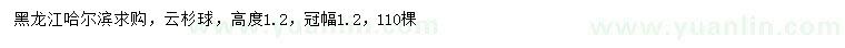 求購高度1.2米云杉球