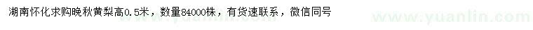 求購(gòu)高0.5米晚秋黃梨