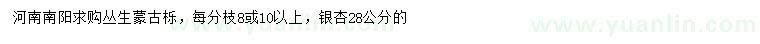 求購叢生蒙古櫟、28公分銀杏