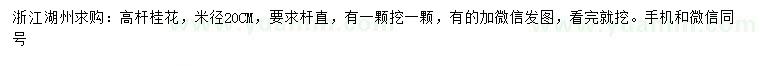 求購米徑20公分高桿桂花