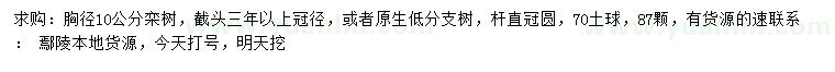 求購(gòu)胸徑10公分欒樹