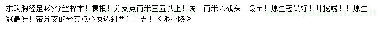 求購胸徑足4公分絲棉木