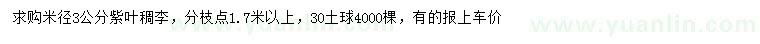 求購米徑3公分紫葉稠李