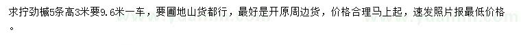 求購高3米擰勁槭