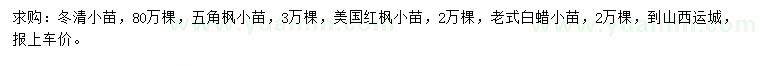 求購(gòu)冬青小苗、五角楓小苗、美國(guó)紅楓小苗等