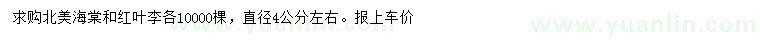 求購直徑4公分左右北美海棠、紅葉李