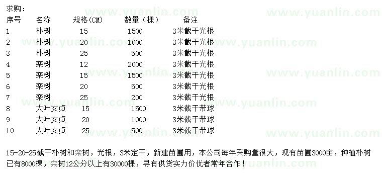 求購(gòu)樸樹(shù)、欒樹(shù)、大葉女貞