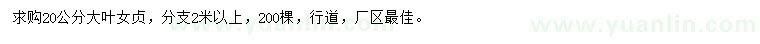 求購20公分大葉女貞