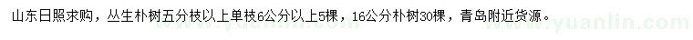 求購5分枝以上叢生樸樹、16公分樸樹