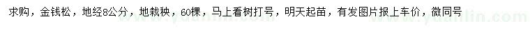 求購地徑8公分金錢松