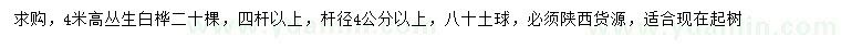 求購(gòu)高4米叢生白樺