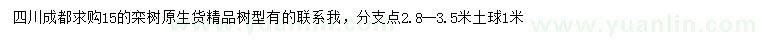 求購15公分欒樹