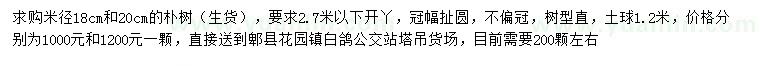 求購米徑18、20公分樸樹