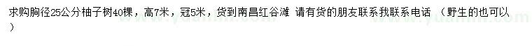 求購(gòu)胸徑25公分柚子樹