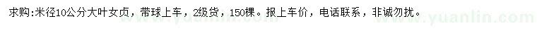 求購米徑10公分大葉女貞