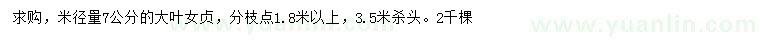 求購(gòu)江西求購(gòu)，米徑量7公分的大葉女貞