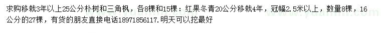 求購樸樹、三角楓、紅果冬青