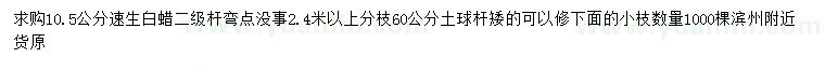 求購10.5公分速生白蠟