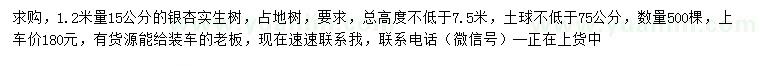 求購1.2米量15公分銀杏