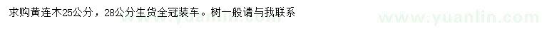 求購25、28公分黃連木