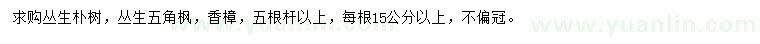 求購叢生樸樹(shù)、叢生五角楓、香樟