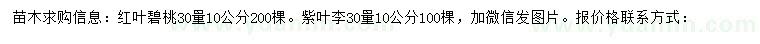 求購30量10公分紅葉碧桃、紫葉李