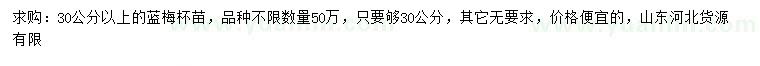 求購30公分以上藍(lán)梅