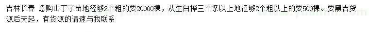 求購(gòu)地徑2公分山丁子苗、叢生白樺