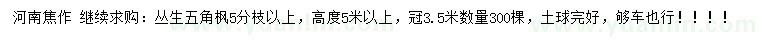 求購高度5米以上叢生五角楓