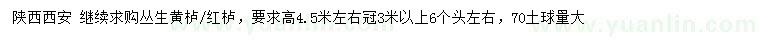 求購高4.5米左右叢生黃櫨、紅櫨