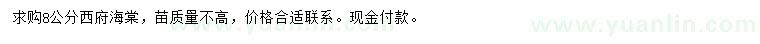 求購8公分西府海棠