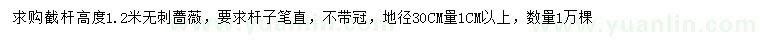 求購地徑30公分量1公分以上無刺薔薇
