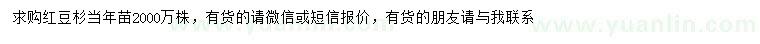 求購紅豆杉當年苗