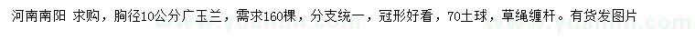 求購胸徑10公分廣玉蘭