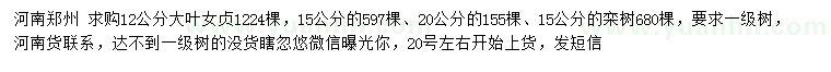 求購12、15、20公分大葉女貞、15公分欒樹