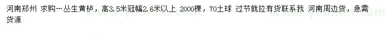 求購高3.5米叢生黃櫨