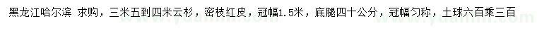 求購3.5-4米云杉