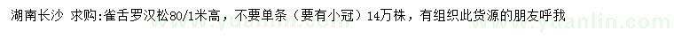 求購高80、100公分雀舌羅漢松