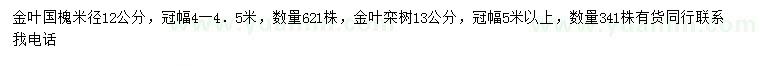 求購米徑12公分金葉國槐、13公分金葉欒樹