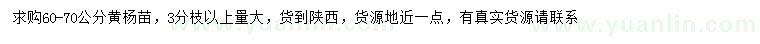 求購(gòu)60-70公分黃楊苗