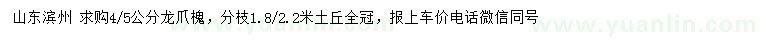 求購4、5公分龍爪槐